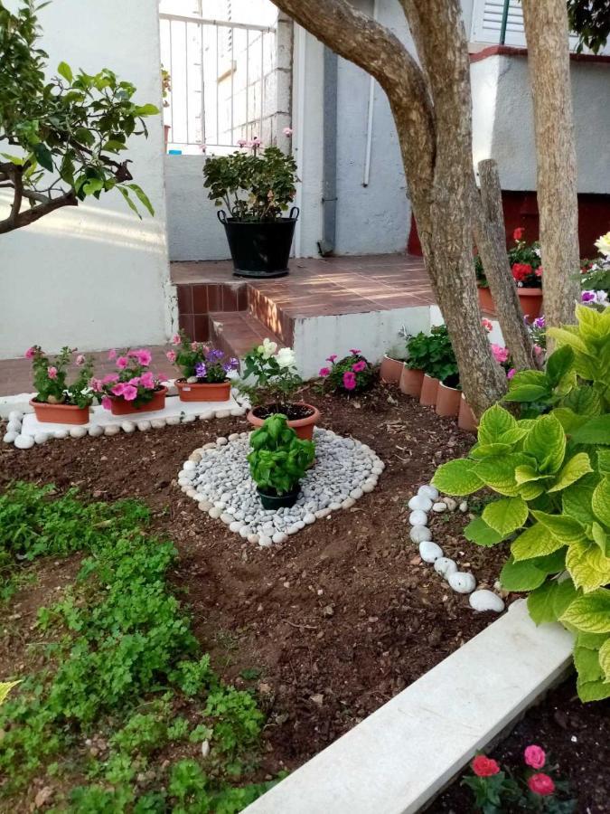 Studio Apartment Lapad دوبروفينك المظهر الخارجي الصورة